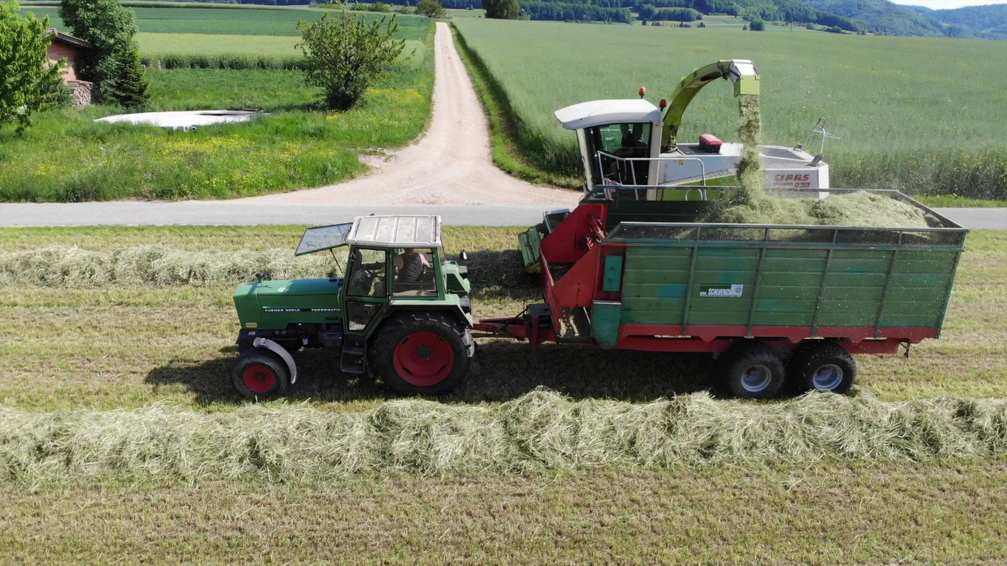 Leimenhof Farmlife Hautnah: Ganztages-Erlebnis